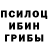 Галлюциногенные грибы Psilocybe raju pandi