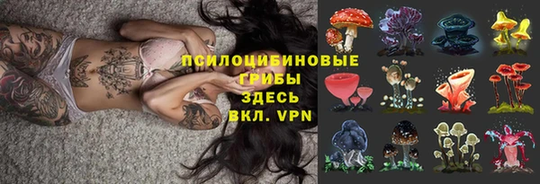 ALPHA PVP Богородск