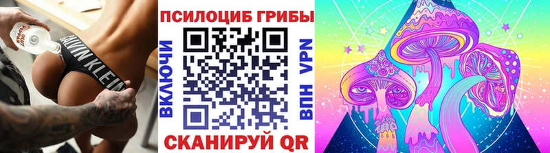 Псилоцибиновые грибы Cubensis  ОМГ ОМГ как войти  Кораблино 